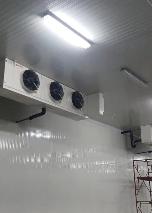 Saudi Customs cold storage - border facility temperature-controlled storage