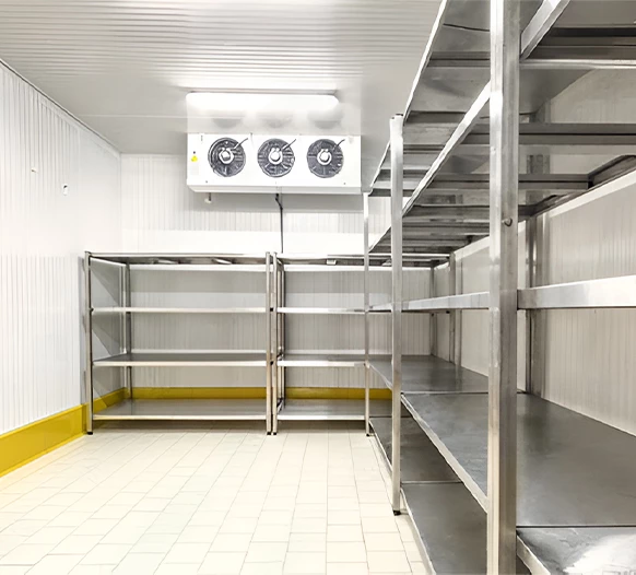 Cold room interior - food cold storage Saudi Arabia